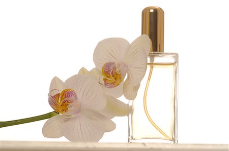 simsearch:689-03125682,k - Small perfume bottle and orchid blossoms Foto de stock - Sin royalties Premium, Código: 689-03126372