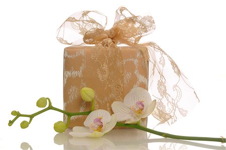 Gift with a orchid blossom Stock Photo - Premium Royalty-Free, Code: 689-03126400