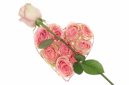 Rose lying on heart shaped box Stock Photo - Premium Royalty-Free, Code: 689-03127102