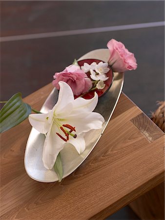 spa decoration - Blossoms in a bowl Stock Photo - Premium Royalty-Free, Code: 689-03127250