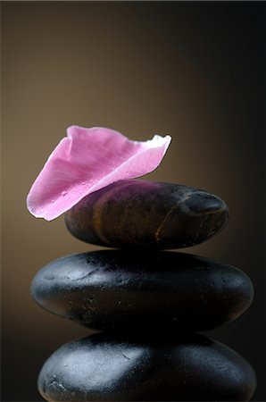 spa decoration - Black stones and a pink petal Stock Photo - Premium Royalty-Free, Code: 689-03127724