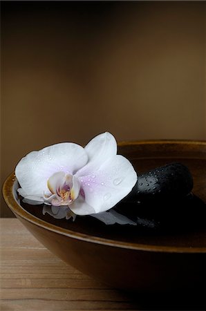 spa decoration - Bowl with a orchid blossom and a black stone Stock Photo - Premium Royalty-Free, Code: 689-03127747