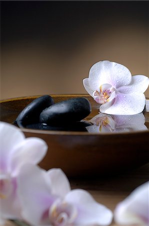 spa decoration - Bowl with black stones and orchid blossoms Stock Photo - Premium Royalty-Free, Code: 689-03127748