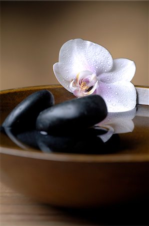 spa decoration - Bowl with black stones and orchid blossoms Stock Photo - Premium Royalty-Free, Code: 689-03127749