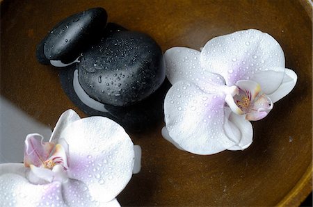 spa decoration - Orchid blossoms and black stones Stock Photo - Premium Royalty-Free, Code: 689-03127750