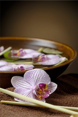 spa decoration - Orchid blossoms swimming in a bowl Stock Photo - Premium Royalty-Free, Code: 689-03127751