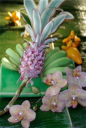 spa decoration - Arrangement of bromelias,bananas and orchid blossoms Stock Photo - Premium Royalty-Free, Code: 689-03128064