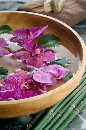 spa decoration - Orchid blossoms in a water bowl Stock Photo - Premium Royalty-Free, Code: 689-03128084