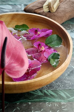 spa decoration - Orchid blossoms in a water bowl Stock Photo - Premium Royalty-Free, Code: 689-03128085