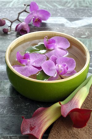 spa decoration - Orchid blossoms in a water bowl Stock Photo - Premium Royalty-Free, Code: 689-03128086