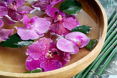 spa decoration - Orchid blossoms in a water bowl Stock Photo - Premium Royalty-Free, Code: 689-03128083