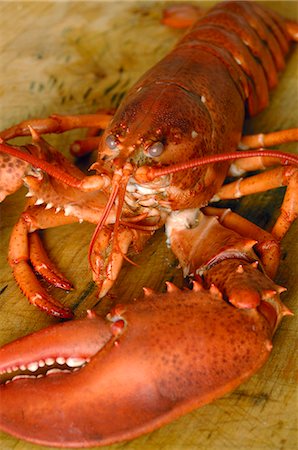 Lobster Stock Photo - Premium Royalty-Free, Code: 689-03128417