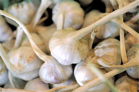garlic Stock Photo - Premium Royalty-Free, Code: 689-03128784
