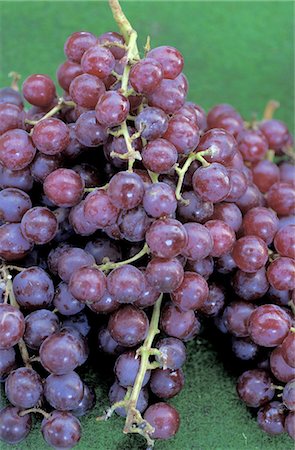 Red wine grapes Foto de stock - Sin royalties Premium, Código: 689-03129201