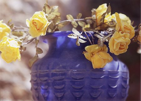 simsearch:689-03130407,k - Yellow roses in a vase Stock Photo - Premium Royalty-Free, Code: 689-03129843