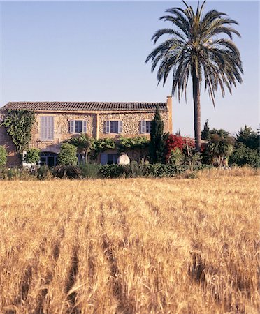 southern european architecture - finca with palm tree Stock Photo - Premium Royalty-Free, Code: 689-03129851