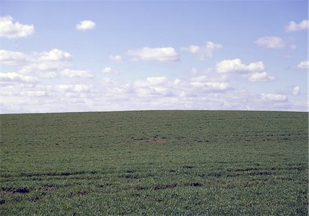 fallow farms - field and sky Stock Photo - Premium Royalty-Free, Code: 689-03129889