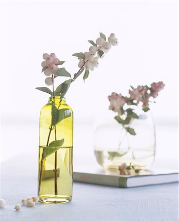 simsearch:689-03128122,k - Snowberry in a glas vase Stock Photo - Premium Royalty-Free, Code: 689-03123722