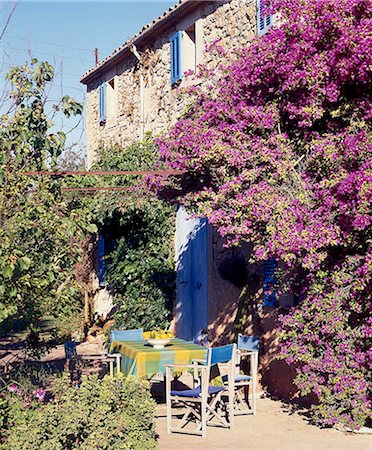 sunlight shutters - Table under bougainvillea Stock Photo - Premium Royalty-Free, Code: 689-03123738