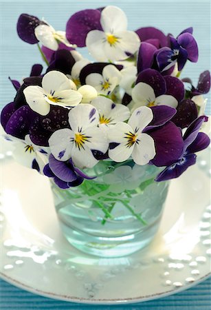Pansies in a glass bowl Stock Photo - Premium Royalty-Free, Code: 689-03130198