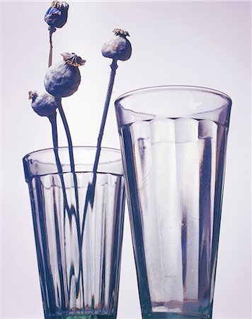 Glasses with opium poppy Stock Photo - Premium Royalty-Free, Code: 689-03130314