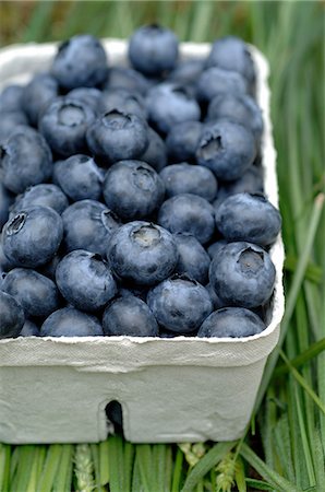 Blueberries in  cardboard box Stock Photo - Premium Royalty-Free, Code: 689-03130686