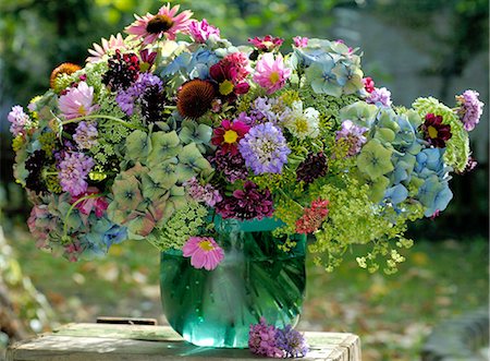 bouquet de fleurs d'été Photographie de stock - Premium Libres de Droits, Code: 689-03131089