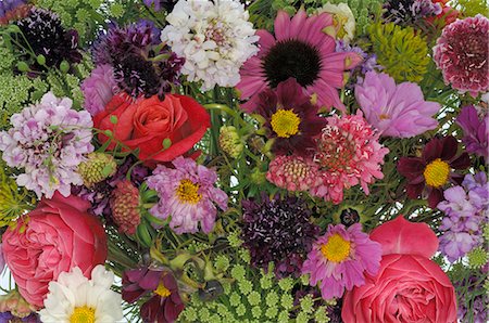 Blumen-Vielfalt Stockbilder - Premium RF Lizenzfrei, Bildnummer: 689-03131095