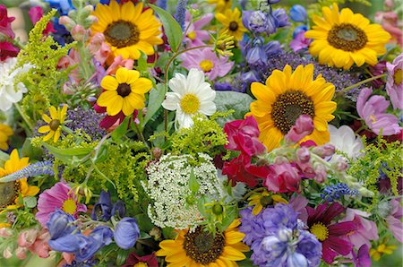 Detail of a bunch of field flowers Foto de stock - Royalty Free Premium, Número: 689-03131106