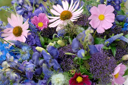 simsearch:689-03131124,k - Détail du bouquet de fleurs Photographie de stock - Premium Libres de Droits, Code: 689-03131113