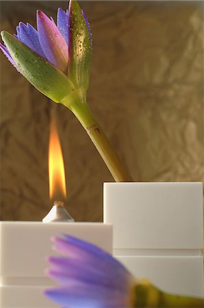 Lotus and perfumed candle Stock Photo - Premium Royalty-Free, Code: 689-03131382