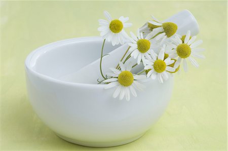 simsearch:689-03733138,k - Camomile blossoms in mortar Foto de stock - Sin royalties Premium, Código: 689-03733123