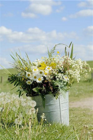 Bunch of flowers in bucket in meadow Stock Photo - Premium Royalty-Free, Code: 689-03733226