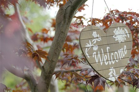 Welcome sign hanging in tree Stock Photo - Premium Royalty-Free, Code: 689-03733220
