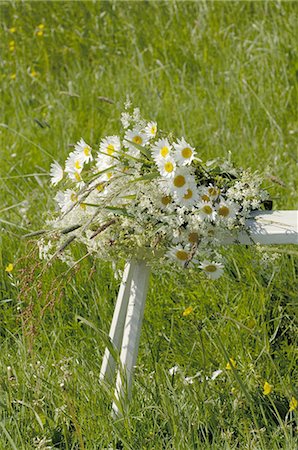 Bouquet de fleurs sur la table dans la prairie Photographie de stock - Premium Libres de Droits, Code: 689-03733235