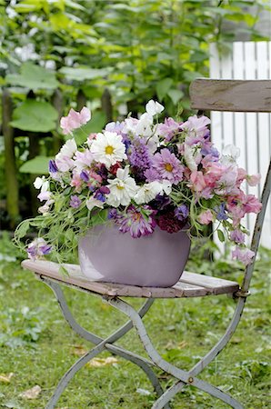 Bunch of flowers with garden cosmos and pea flowers Foto de stock - Sin royalties Premium, Código: 689-03733240