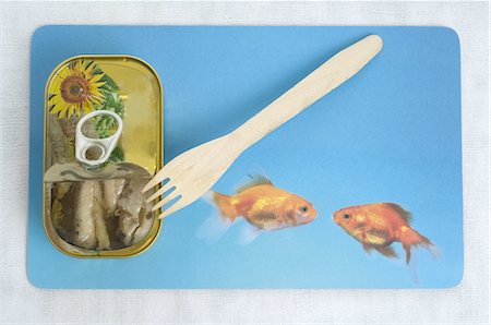 Can with sardines and wooden fork Stock Photo - Premium Royalty-Free, Code: 689-03733291
