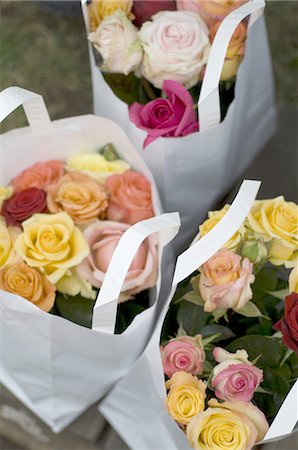 roses aerial view - Roses in paper bags Foto de stock - Sin royalties Premium, Código: 689-03733416