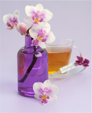 floral - Tea, clinical thermometer and flower Stock Photo - Premium Royalty-Free, Code: 689-03733502