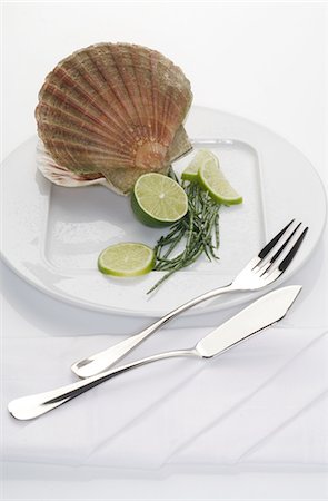 fork and knife white background - Scallop on a plate Stock Photo - Premium Royalty-Free, Code: 689-03733654