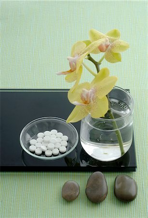 Tissue salts and orchid blossoms Foto de stock - Sin royalties Premium, Código: 689-03733724