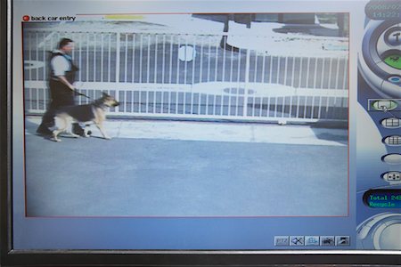 surveiller - Guard with dog seen on picture from security camera Foto de stock - Sin royalties Premium, Código: 694-03328296