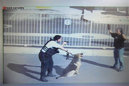 simsearch:700-00429761,k - Security guard aiming with gun to thief at parking lot Fotografie stock - Premium Royalty-Free, Codice: 694-03328297