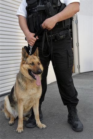 security - Wachmann mit Hund, niedrige Abschnitt Stockbilder - Premium RF Lizenzfrei, Bildnummer: 694-03328304