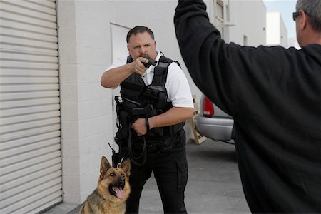 security - Dieb mit erhobenen Armen und Wachmann mit Hund Stockbilder - Premium RF Lizenzfrei, Bildnummer: 694-03328306