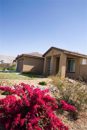 section - Nouvelle maison avec jardin paysagé Photographie de stock - Premium Libres de Droits, Code: 694-03329497