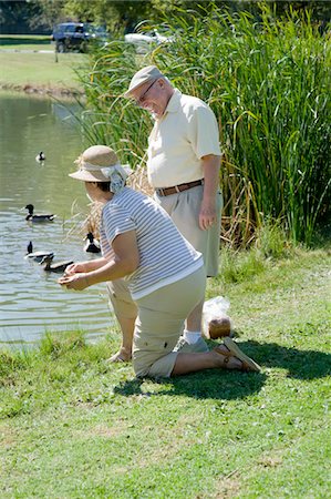 person kneeling in the creek - Senior couple feeding ducks Stock Photo - Premium Royalty-Free, Code: 694-03332238