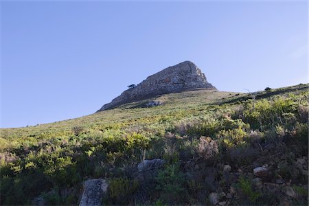 Lions Head Mountain, sœur crête de montagne de la Table, en Afrique du Sud Photographie de stock - Premium Libres de Droits, Code: 694-03333048