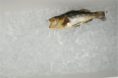 pesca en el hielo - Fish on ice Foto de stock - Sin royalties Premium, Código: 694-03693308
