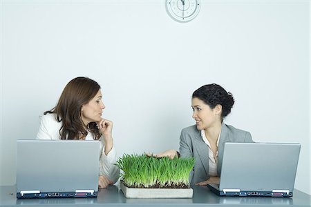 Two businesswomen sitting at laptops, one touching tray of wheatgrass Foto de stock - Sin royalties Premium, Código: 695-05765176